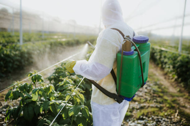 Best Cockroach Control Services  in Hemphill, TX